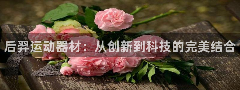 fb体育娱乐代理怎么样:后羿运动器材:从创新到科技的完美结合